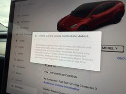 Tesla Model Y (Dual Motor) Long Range SUV 5dr Electric Auto 4WDE (384 bhp) 34