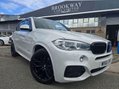 BMW X5 3.0 30d M Sport Auto xDrive Euro 6 (s/s) 5dr 1