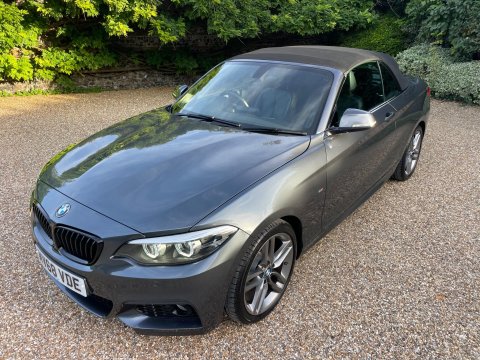 BMW 2 Series 2.0 218d M Sport Convertible 2dr Diesel Manual Euro 6 (s/s) (150 ps) 21