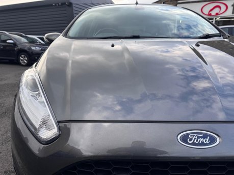 Ford Fiesta ZETEC S 9