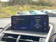 Lexus NX 2.5 NX 300h CVT 4WD 5dr 20