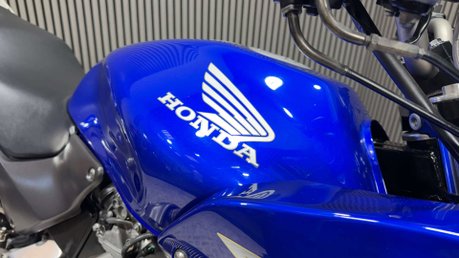 Honda CB 600 2001 ONLY 15K MOT OCTOBER 2027 VERY CLEAN 600CC 30