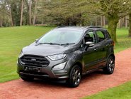 Ford Ecosport ST-LINE 31