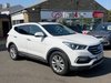 Hyundai SANTA FE CRDI PREMIUM BLUE DRIVE