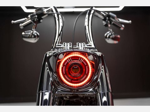 Harley-Davidson Terminator T-800 51