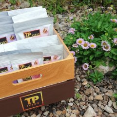 Real food for your four-legged best friend 4