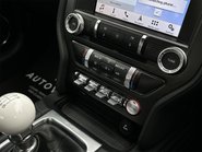 Ford Mustang BULLITT 61