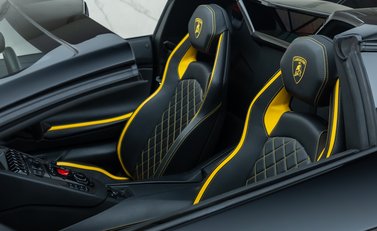 Lamborghini Aventador S LP 740-4 ROADSTER 29