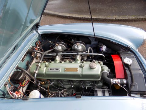 Austin Healey 100/6 BN4 23