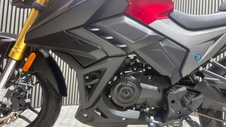 Lexmoto LS-Z 2026 UNMARKED CONDITION 102 MILES BIG SAVING ON NEW 125CC 14