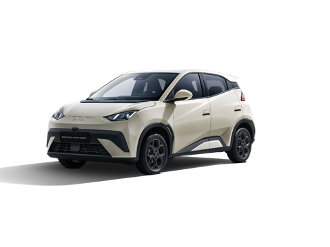 BYD DOLPHIN SURF 43.2kWh COMFORT 2
