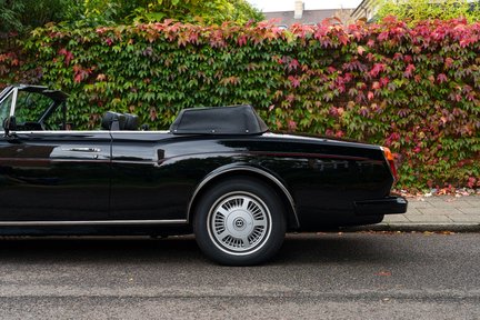 Bentley Continental Convertible 14