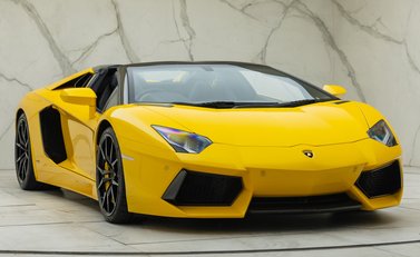 Lamborghini Aventador LP 700-4 ROADSTER 12