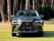 Lexus NX 350H 20
