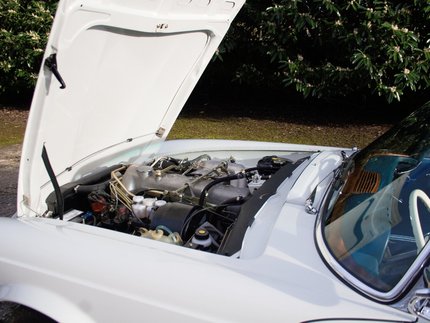 Mercedes-Benz W113 230SL 24