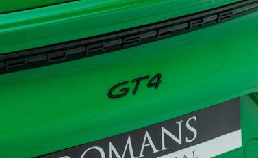 Porsche Cayman GT4 (718) 33