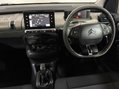 Citroen C4 Cactus BLUEHDI FLAIR 12