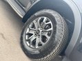 Ford Ranger 2.0 TD EcoBlue Wildtrak Pickup Double Cab 4dr Diesel Auto 4WD Euro 6 (s/s) 11