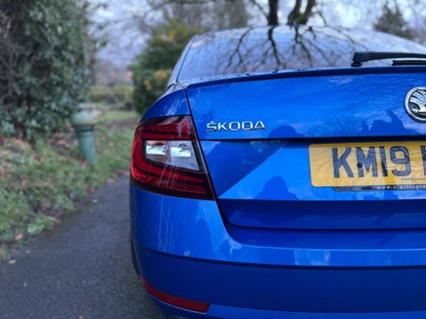 Skoda Octavia SE L TSI DSG 42