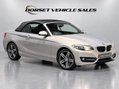 BMW 2 Series 2.0 220i Sport Euro 6 (s/s) 2dr 2