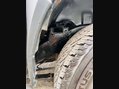 Great Wall Steed 2.0 Steed SE TD 4x4 4WD 24