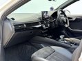 Audi A4 2.0 A4 Black Edition 35 TDI Semi-Auto 4dr 61