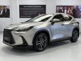 Lexus NX 450H PLUS TAKUMI 9