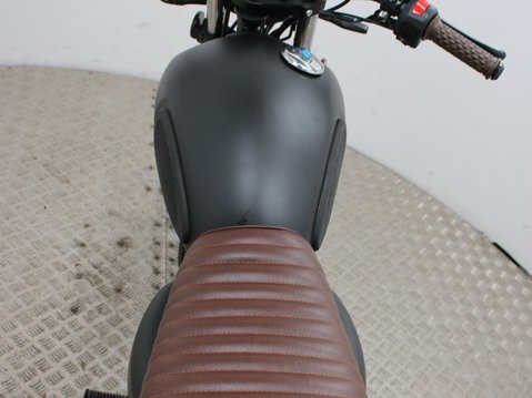 Mutt Mongrel 125 Pre-registered 18
