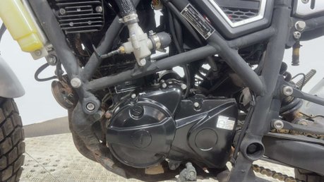 Herald Motor Co Brat 2022 7K TALL ENDURO BIKE LEARNER 125CC 26