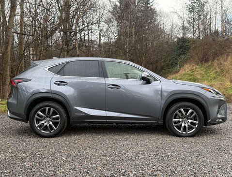 Lexus NX 2.5 NX 300h CVT 4WD 5dr 3