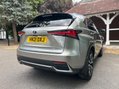 Lexus NX 300H 22