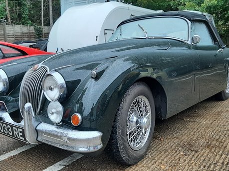 Distinguished Gentlemans Drive 2025 6