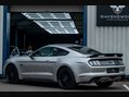 Ford Mustang 5.0 Mustang GT 2dr 2
