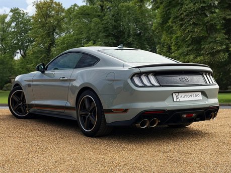 Ford Mustang MACH 1 7