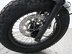 Mutt Mastiff 125 Pre-registered 16