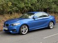 BMW 2 Series 2.0 220d M Sport Auto 2dr 33