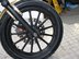 Harley-Davidson Sportster IRON 883 XL N 13 12