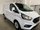 Ford Transit Custom 300 LIMITED P/V ECOBLUE