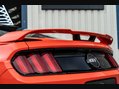 Ford Mustang 5.0 Mustang GT 2dr 22