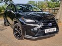 Lexus NX 300H SPORT