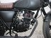 Mutt Mongrel 125 Pre-registered 25