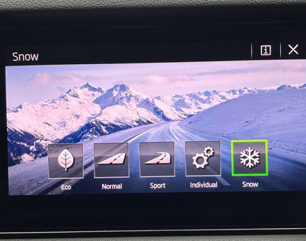 Skoda Kodiaq 2.0 Kodiaq SE L TSi 4x4 Semi-Auto 4WD 5dr 48