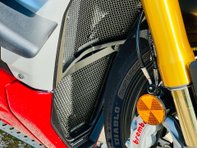 Ducati Streetfighter V4 Streetfighter V4 S 13