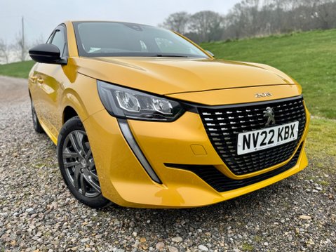 Peugeot 208 PURETECH ACTIVE PREMIUM S/S 10