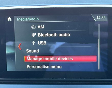 BMW 2 Series 1.5 225XE M Sport Auto 4WD 5dr 41