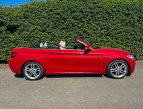 BMW 2 Series 2.0 220d M Sport Convertible 2dr Diesel Auto Euro 6 (s/s) (190 ps) 26