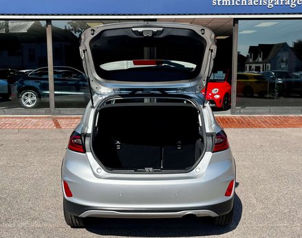 Ford Fiesta 1.0 Fiesta Active Vignale T MHEV 5dr 64