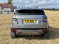 Land Rover Range Rover Evoque SD4 PRESTIGE LUX Massive Spec Panoramic Roof Great Value 6