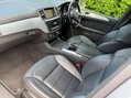 Mercedes-Benz M Class 2.1 ML250 Special Edition Bluetec Auto 4WD 5dr 21