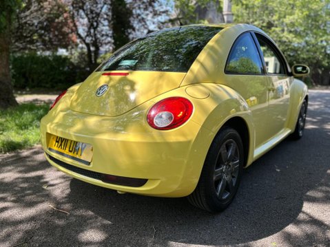 Volkswagen Beetle LUNA 8V 15